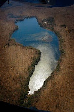 Camp from the air in early spring.