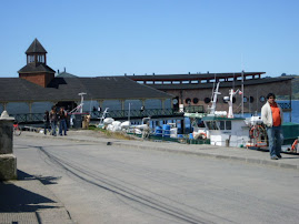 Costanera Dalcahue