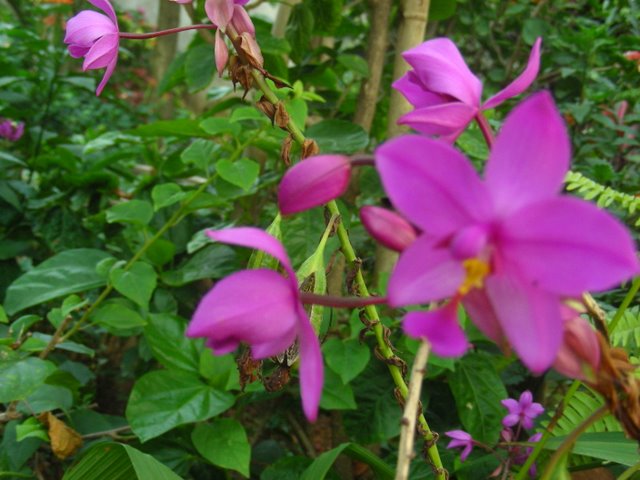 [DSCN0939.JPG]