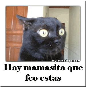 Chistes y Mas: IMAGENES CON FRACES GROCERAS E INSULTOS Chistes y Mas: IMAGENES CON FRACES GROCERAS E INSULTOS