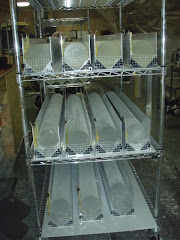A rack of ice cores