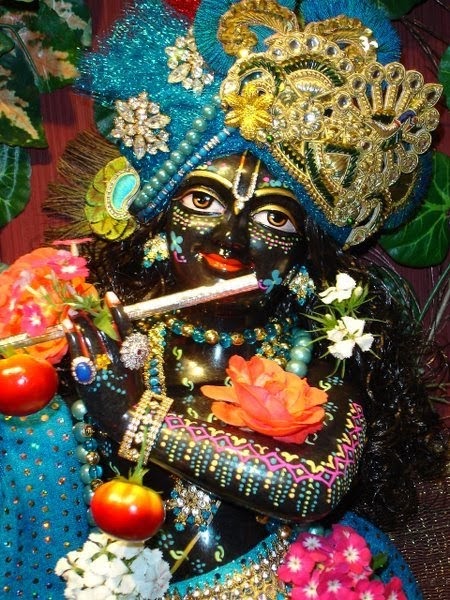 holi hai song download mridul krishna