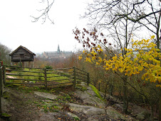 View of the Swedish Landscape
