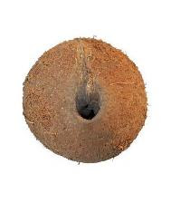 One Eye Coconut