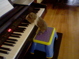 guffy playing the piano