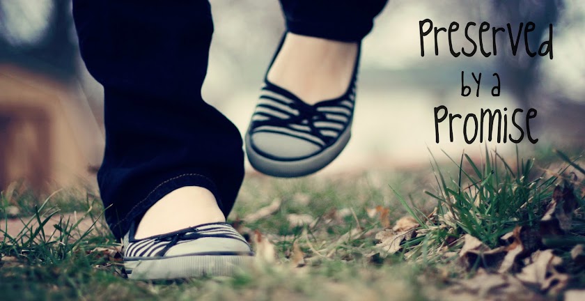 Preserved by a Promise