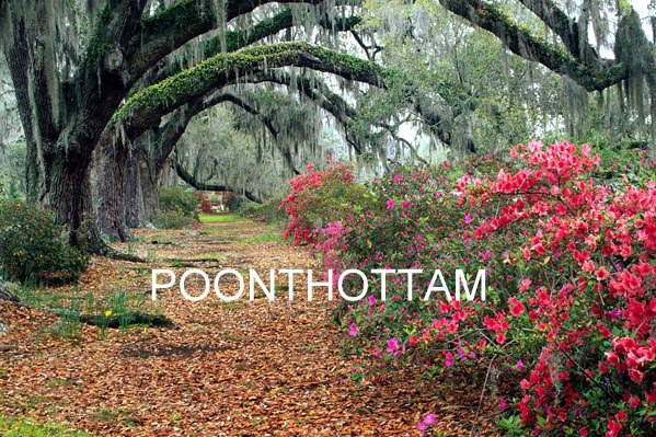 poonthottam