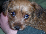 Maggie