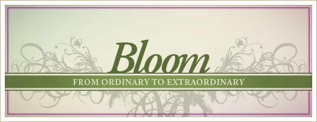 The Bloom Blog