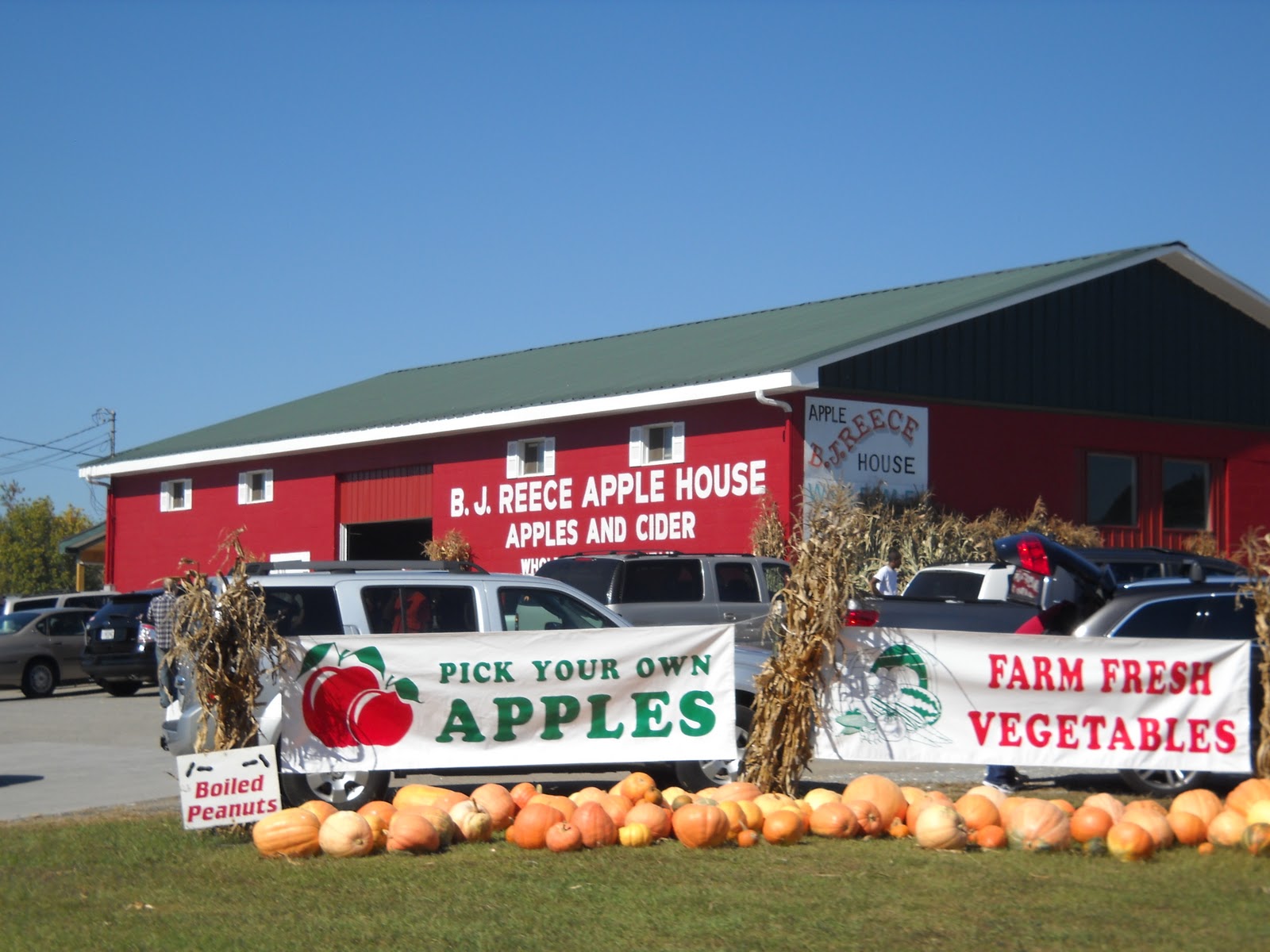 "Weekend at Gilmer County, Apple Capital" The Bluebird Patch