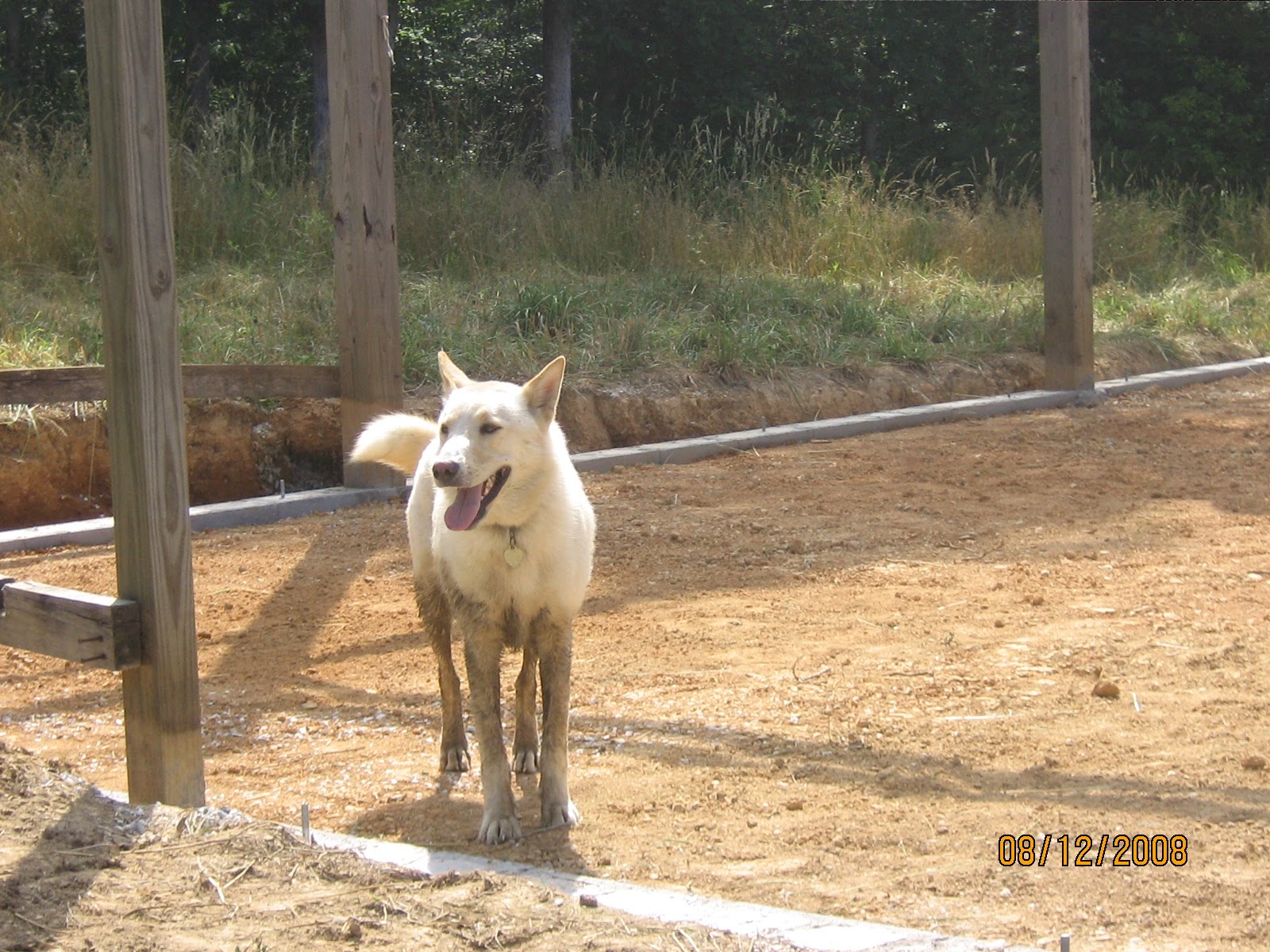 [sunbright+tn+june+018.JPG]