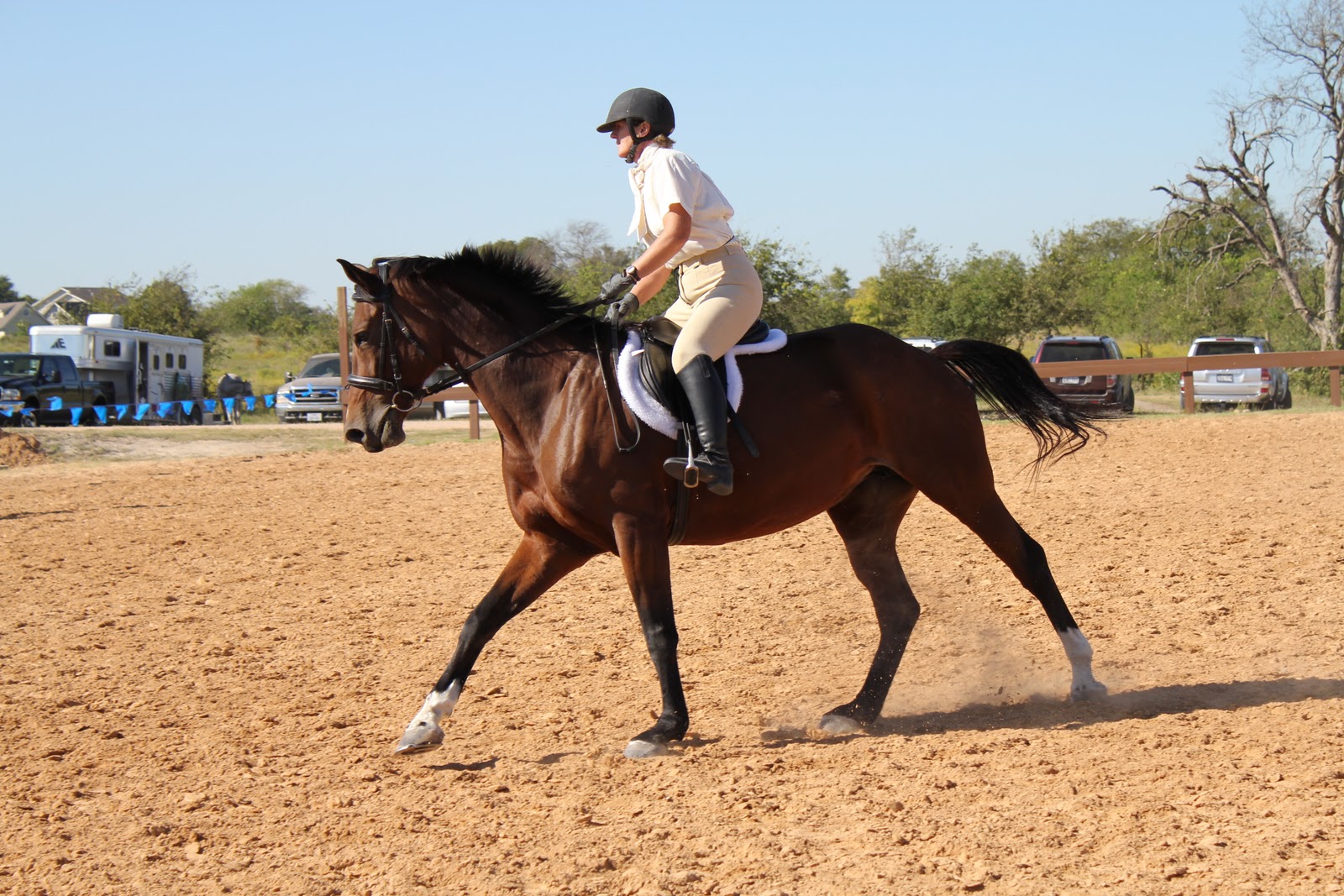 Valentine And Heartbreaker