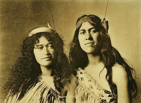 Maori Chicks