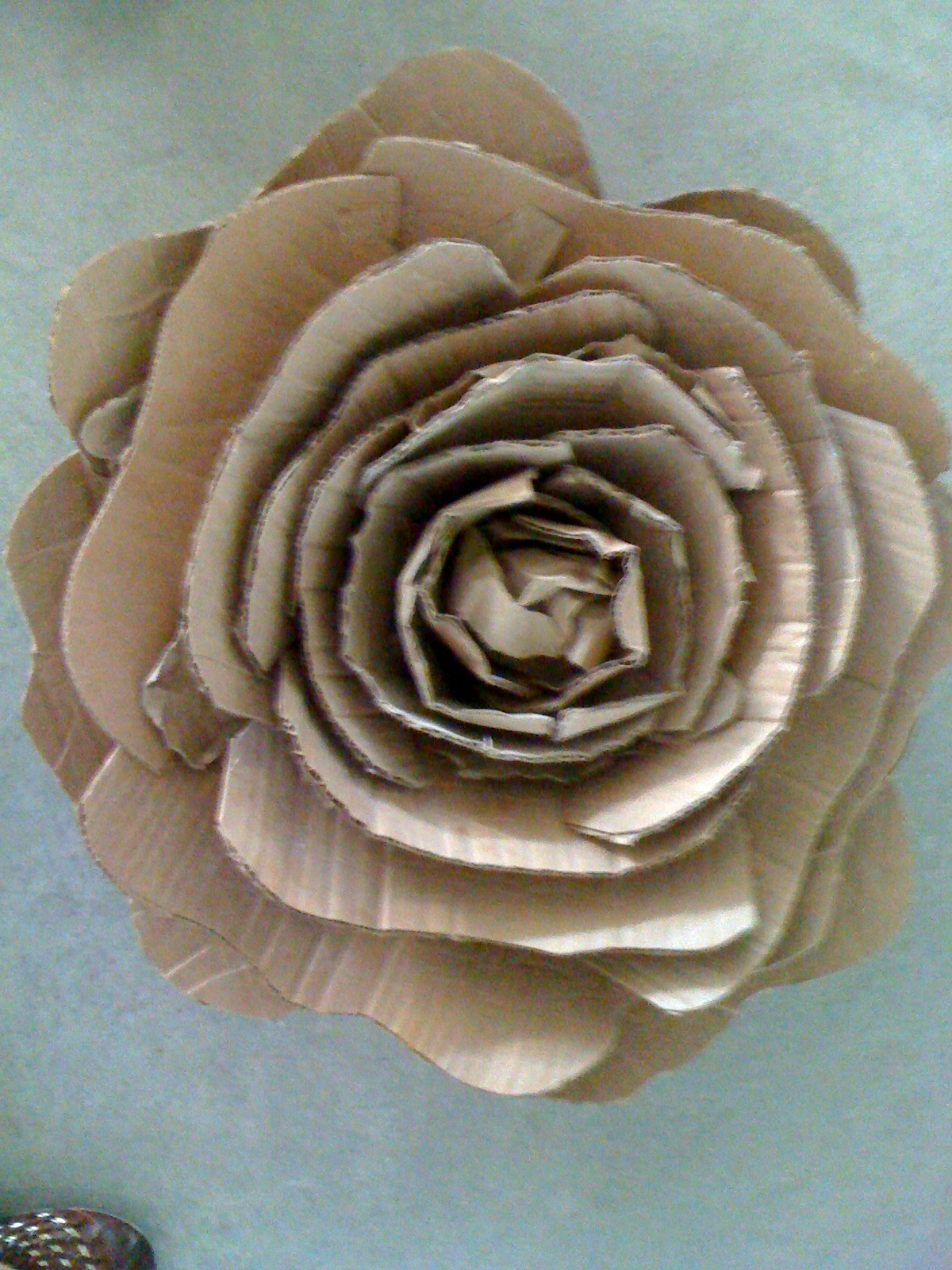 undefined Cardboard, Creation, Flowers