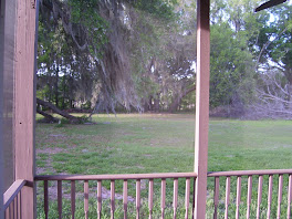 Another Porch View
