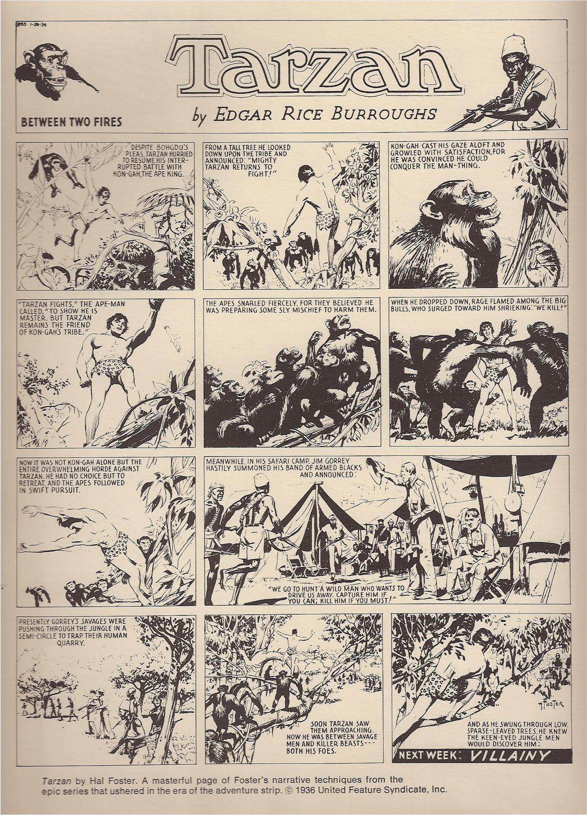 Hal Foster Tarzan