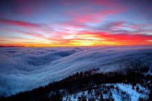 Smoky Mountain Winter