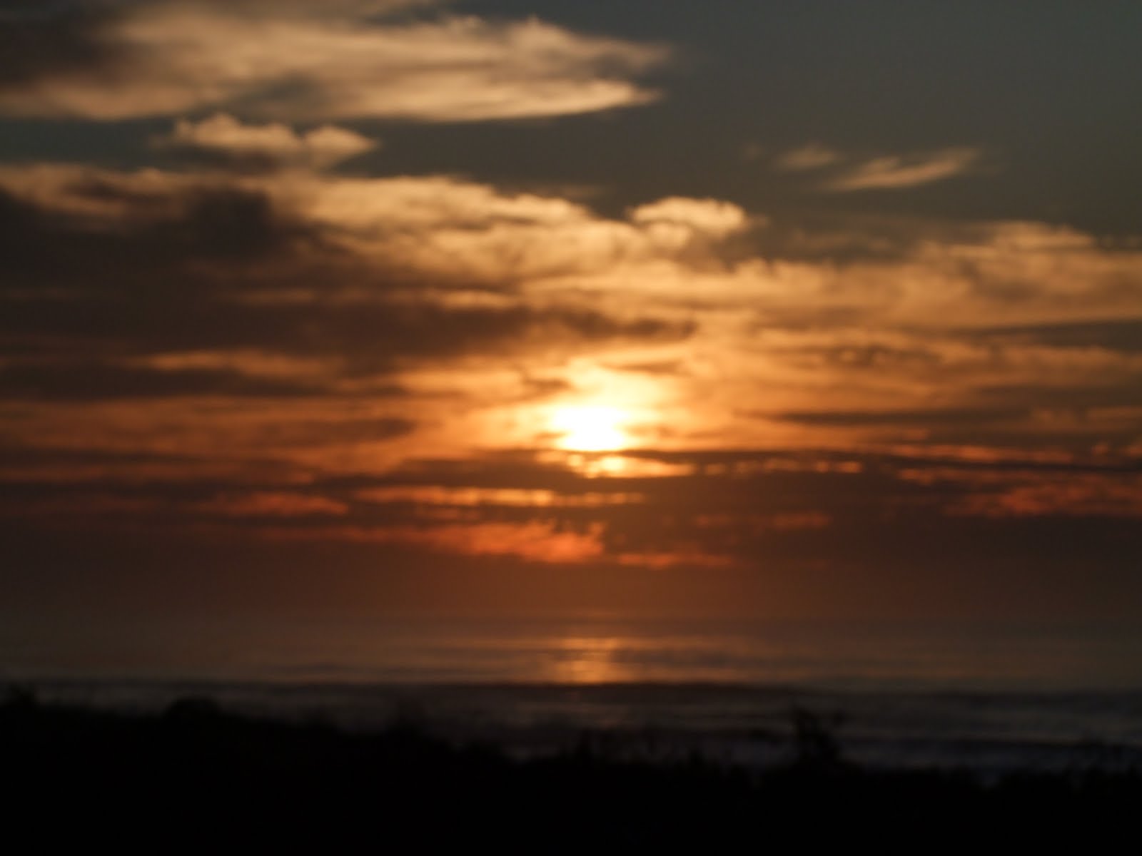 [DSCF1595.JPG]