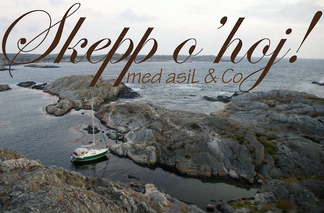 Skepp o'hoj med asiL & Co - en elektronisk loggbok