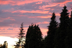 May Sunset 05/08