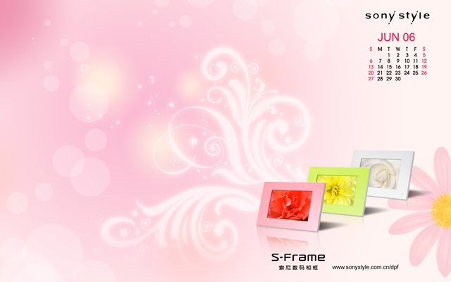 S Frame
