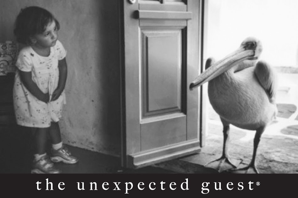 the unexpected guest