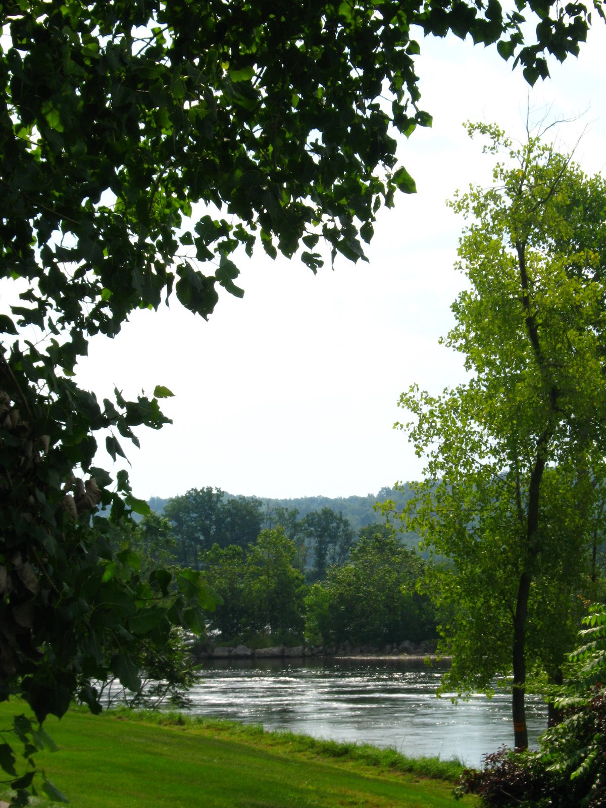 [IMG_4013.JPG]