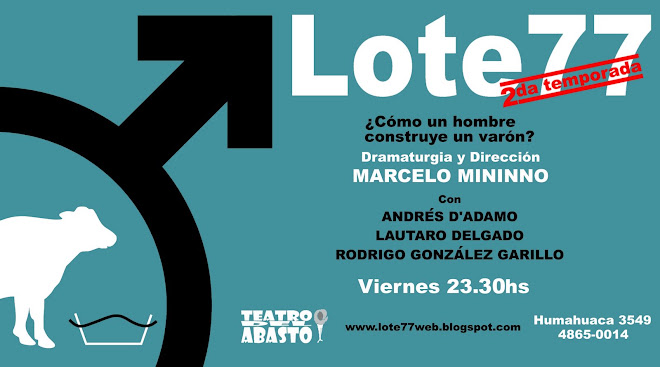 LOTE 77