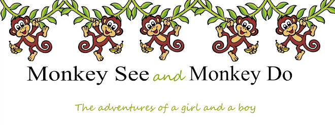 Monkey See and Monkey Do