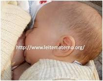 Tudo a que precisa saber para amamentar com sucesso