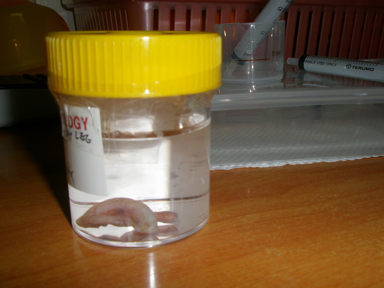 [P5220165.JPG]