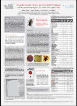 Synathropische Fliegen als potentielle Überträger von Krankheitserregern