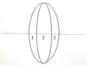 AP Physics Resources: Geometric Optics for AP Physics B – Additional