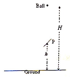 ap physics b 1982 free response Title: ap physics b free-response index author: hrsb last modified by: hrsb created date: 10/26/2010 1:02:00 pm company: hrsb other titles: ap physics b free-response index. ap physics b 1982 free response Title: ap physics b free-response index author: hrsb last modified by: hrsb created date: 10/26/2010 1:02:00 pm company: hrsb other titles: ap physics b free-response index.