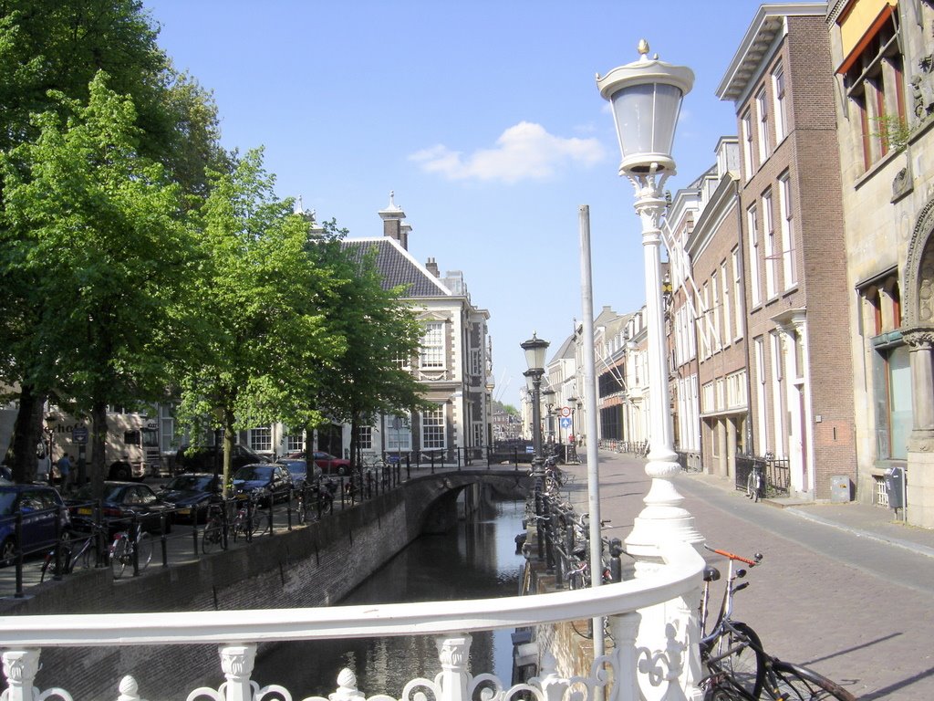 [DSC08006.JPG]