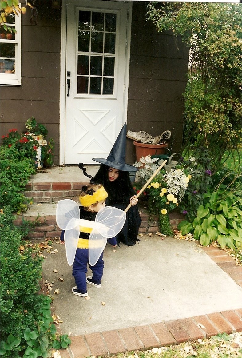 Long Island Daily Photo