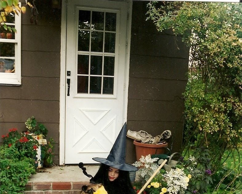 Long Island Daily Photo