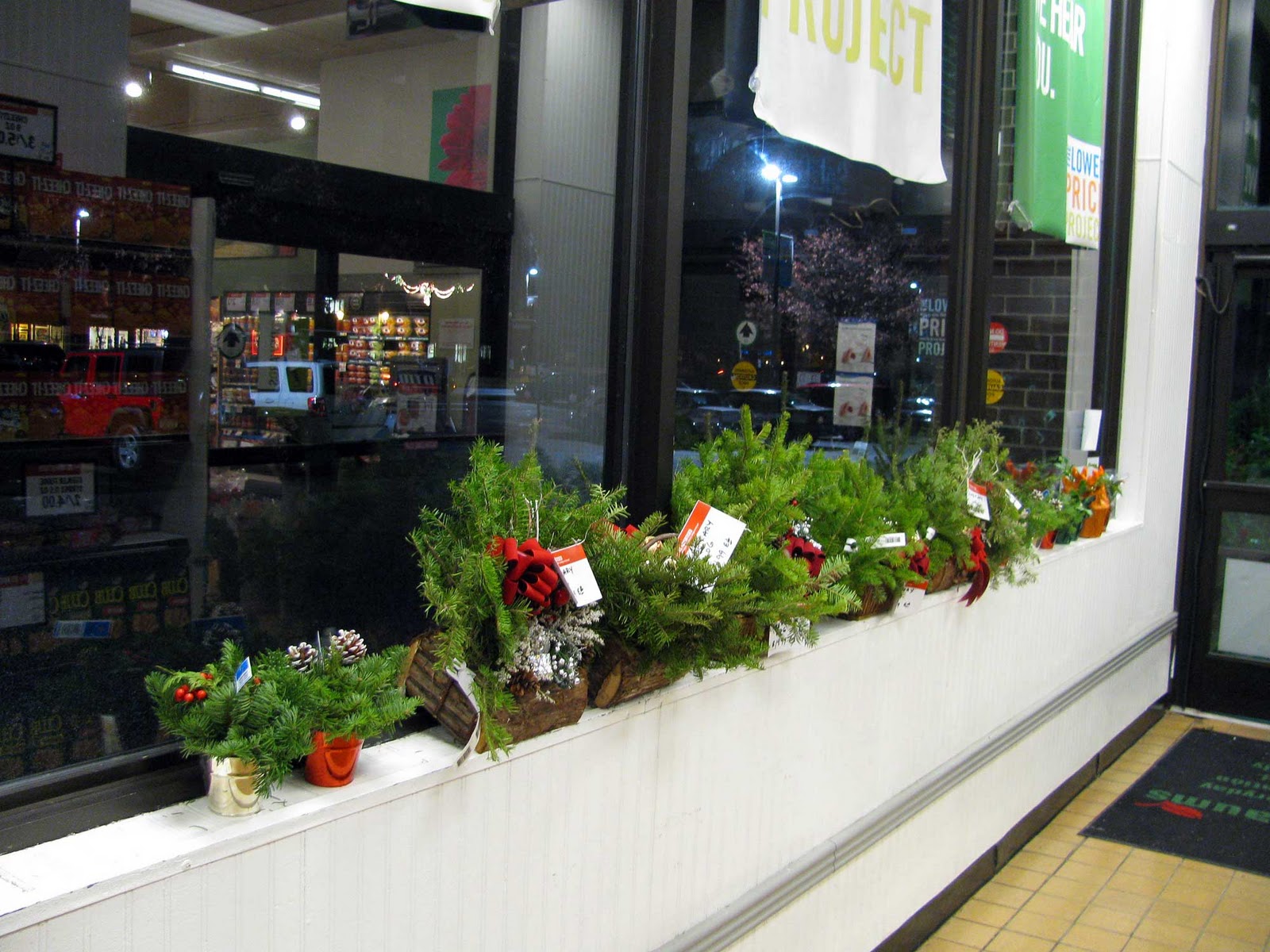 reflections inside waldbaums