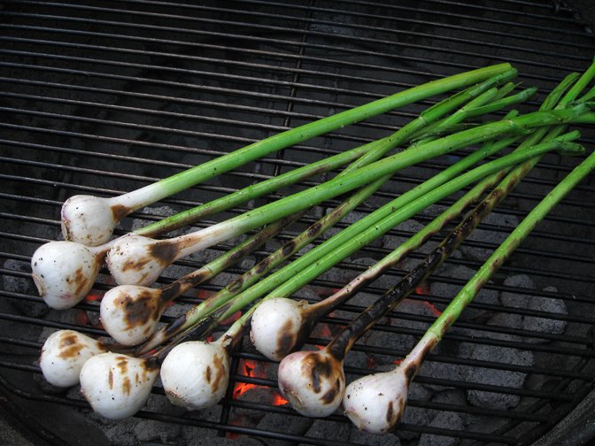 [SpringGarlic1.jpg]