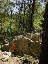 LA DEGRADATION DU DOLMEN 2007