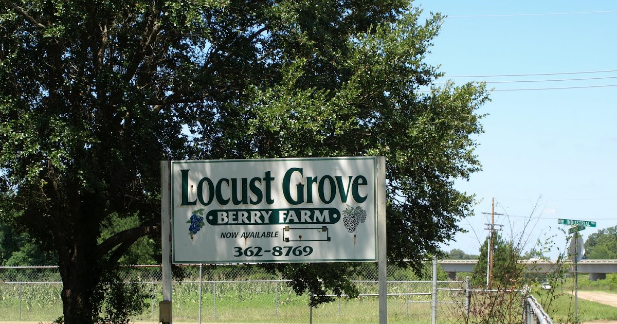 visit mississippi Locust Grove Berry Farm Jackson