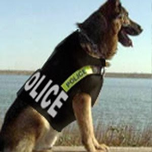 perros-policia-chaleco-antibalas.jpg
