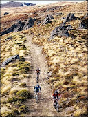 Cycle thru New Zealand