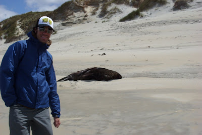 chanteuses ivoiriennes des prostituées de luxe