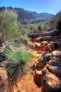 Rawnsely Bluff Hike Flinders Ranges