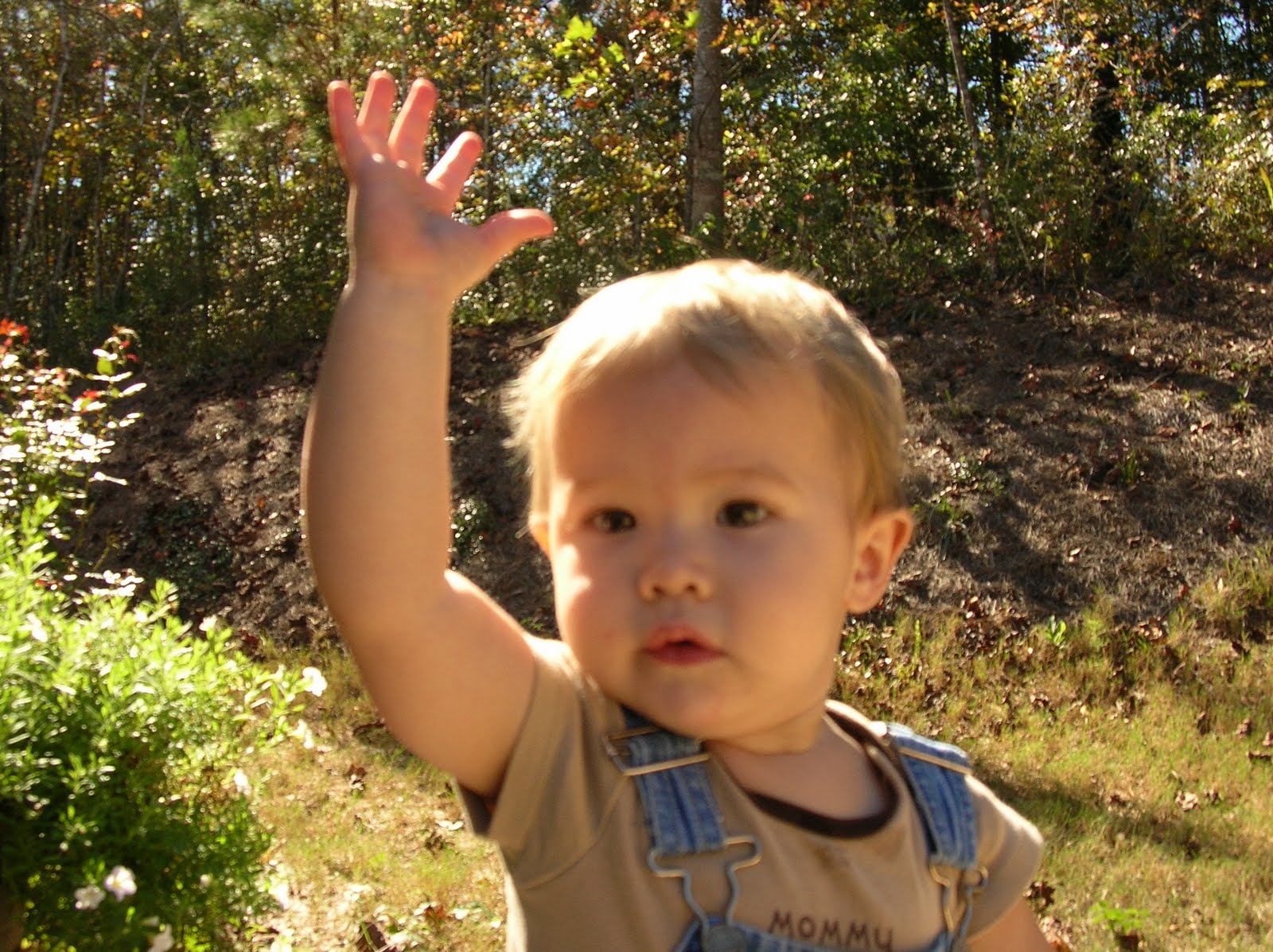 [fall+fun+004.JPG]
