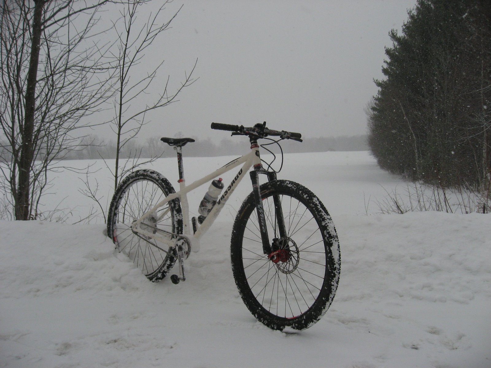 [IMG_2812.JPG]