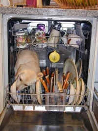 picture of a dog licking a plate in a dishwasher