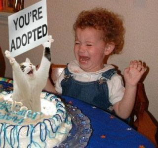 photo of a little girl crying and a cat jumping out of a b-day cake