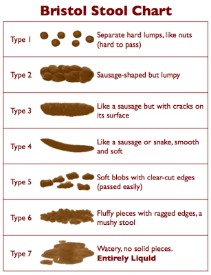  of feces into seven groups. It was developed by Dr. K. Hering 